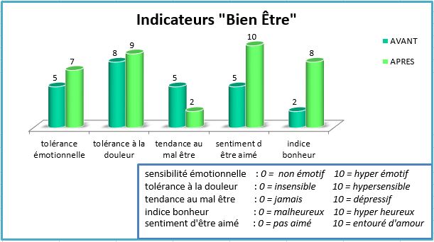 Dad IndicateurBienEtre