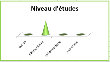 Dad niveau-etudes