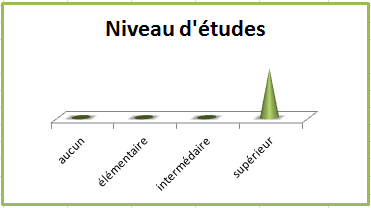 Martin niveau-etudes